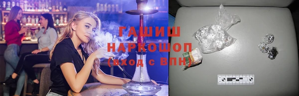 индика Беломорск