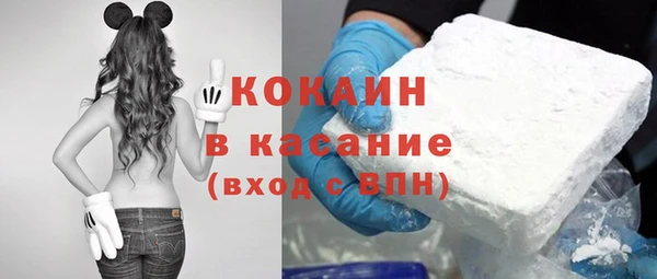 индика Беломорск
