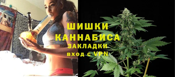 мдпв Анива