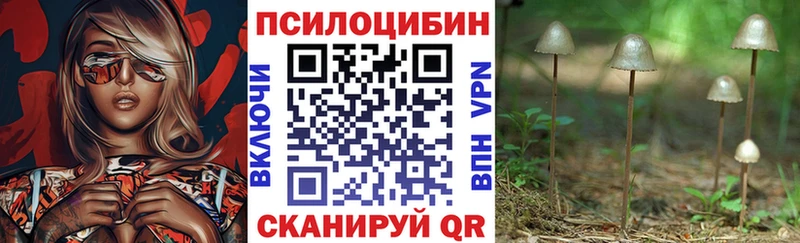 Псилоцибиновые грибы Psilocybine cubensis  что такое   darknet формула  Вязники 