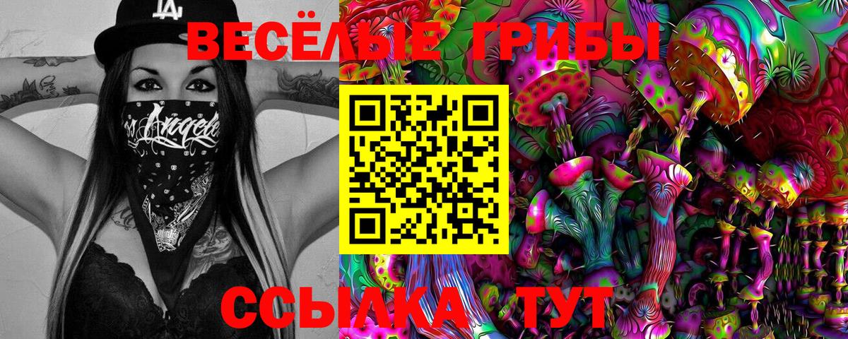 Галлюциногенные грибы MAGIC MUSHROOMS  Вязники 