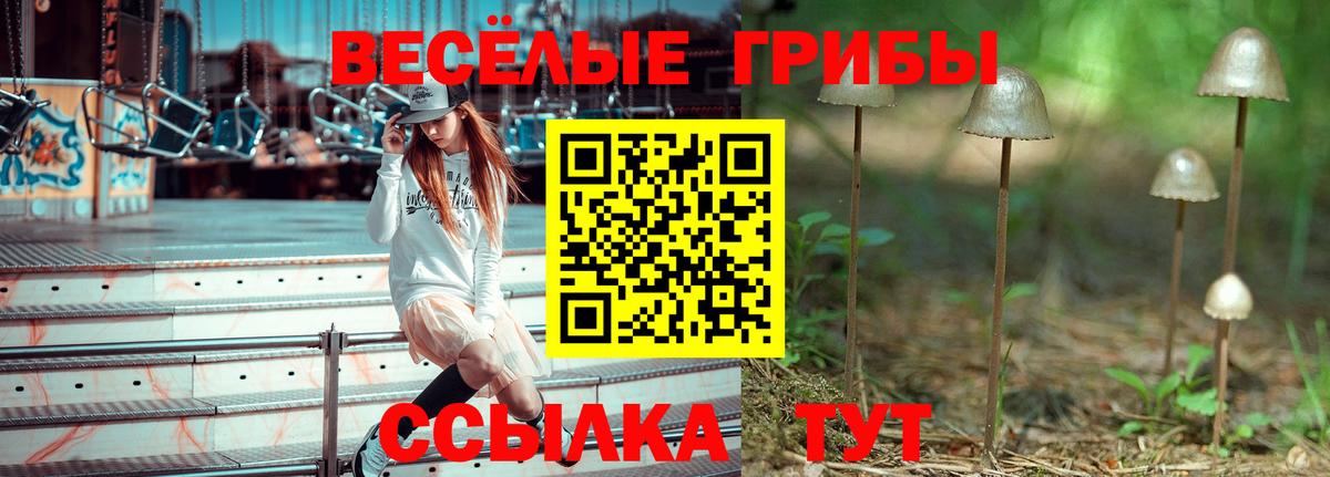 A PVP Вязники